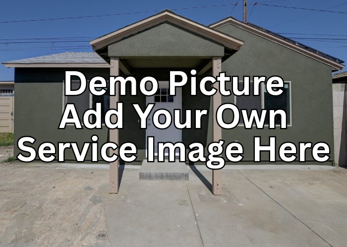 GetBizzyDemoPic5